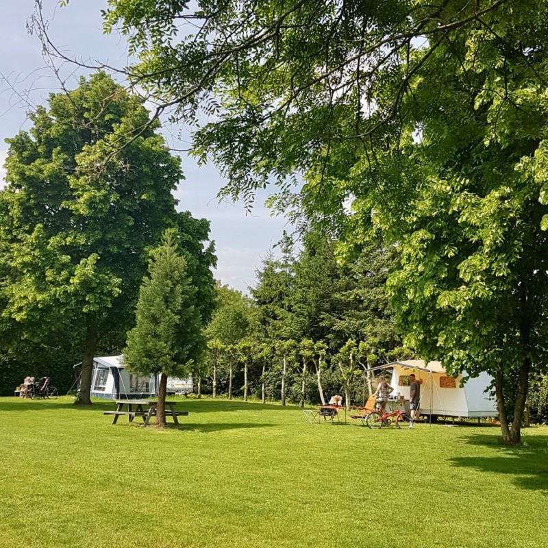 De Zoete Aagt rustige minicamping bij Reichswald De Zoete Aagt rustige minicamping bij Reichswald
